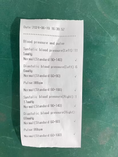 Precio de fábrica OEM Tensiómetro médico Monitor de presión arterial digital en la parte superior del brazo Máquina de presión arterial aprobada por CE ISO